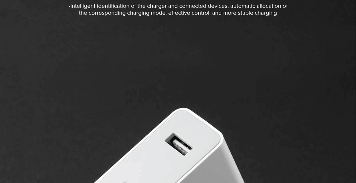 Mi Charger Fast Charge Version (65W)