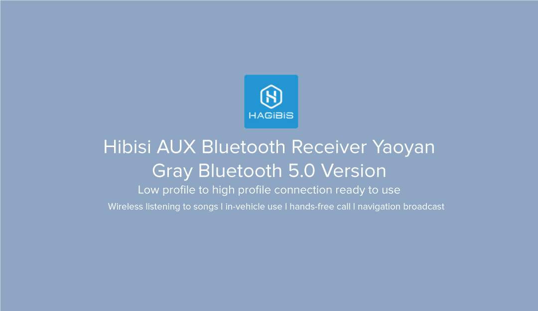 Hagibis AUX Bluetooth Receiver
