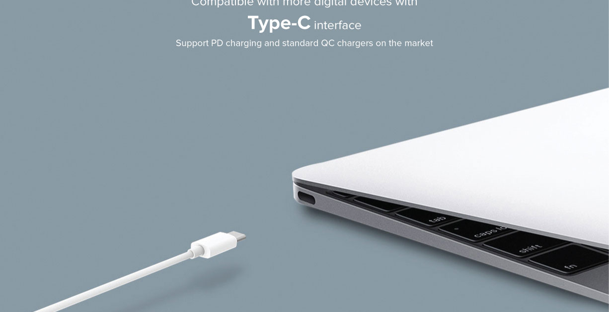 Mi USB Type-C 5A Data Cable