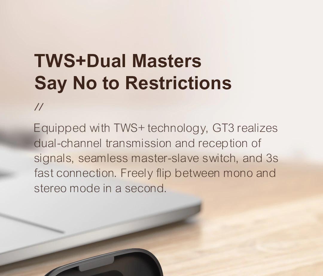 Haylou GT3 True Wireless Earbuds