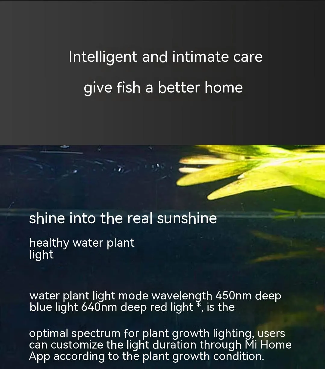 Mi Smart Fish Tank