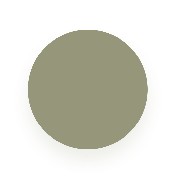 Mijia Electric Water Kettle