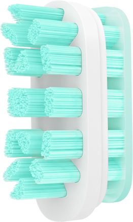 Mi Sonic Electric Toothbrush