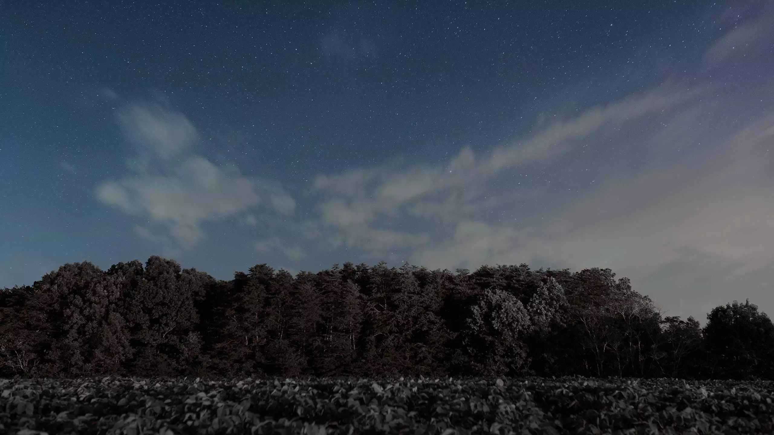 Mi Sphere Camera Kit