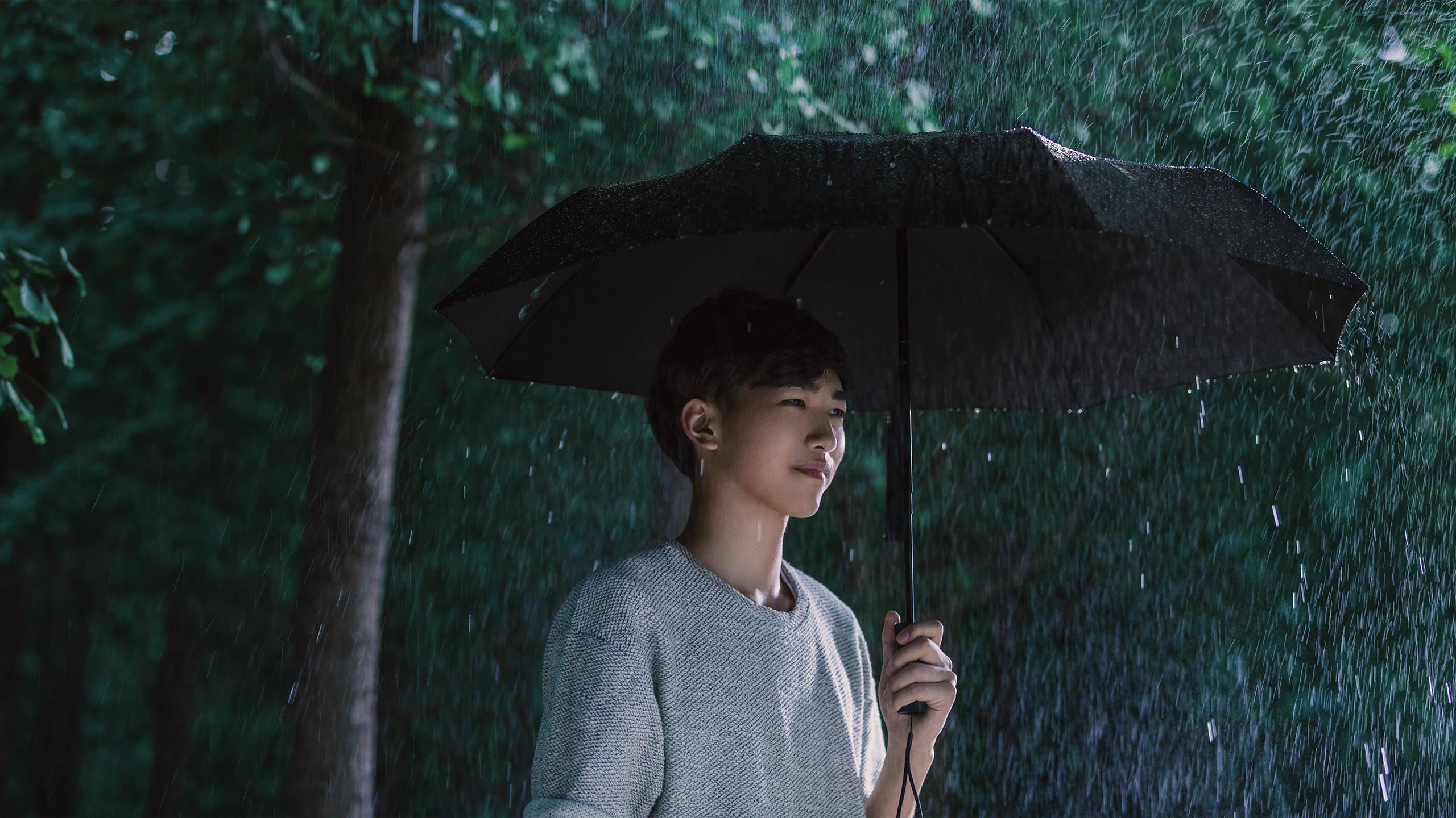 Mi Automatic Folding Umbrella