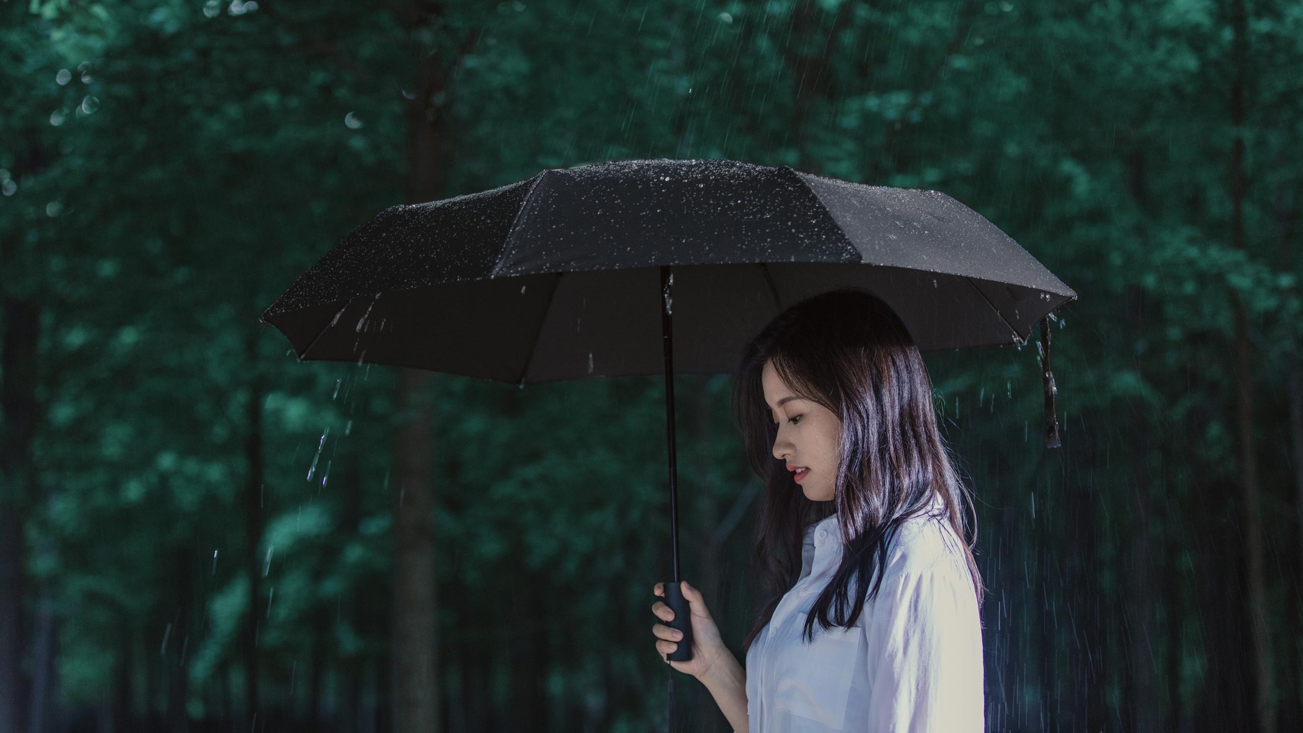 Mi Automatic Folding Umbrella