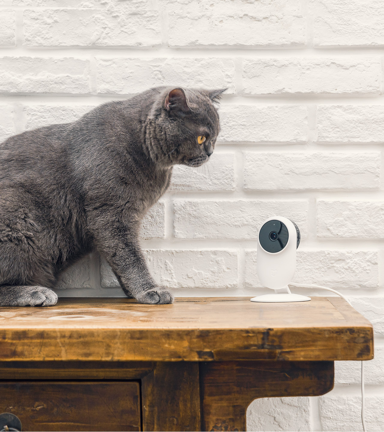 Mi Home Security Camera Mi Home Security Camera