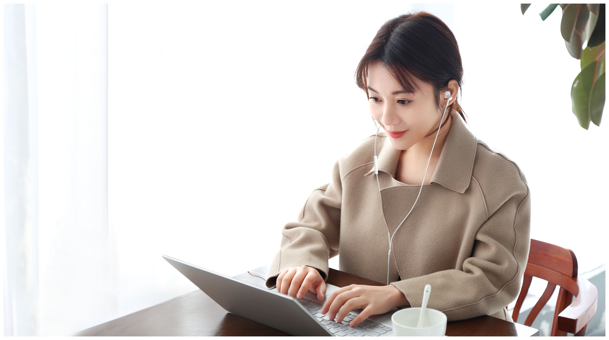 Mi Dual Driver Earphones Mi Dual Driver Earphones