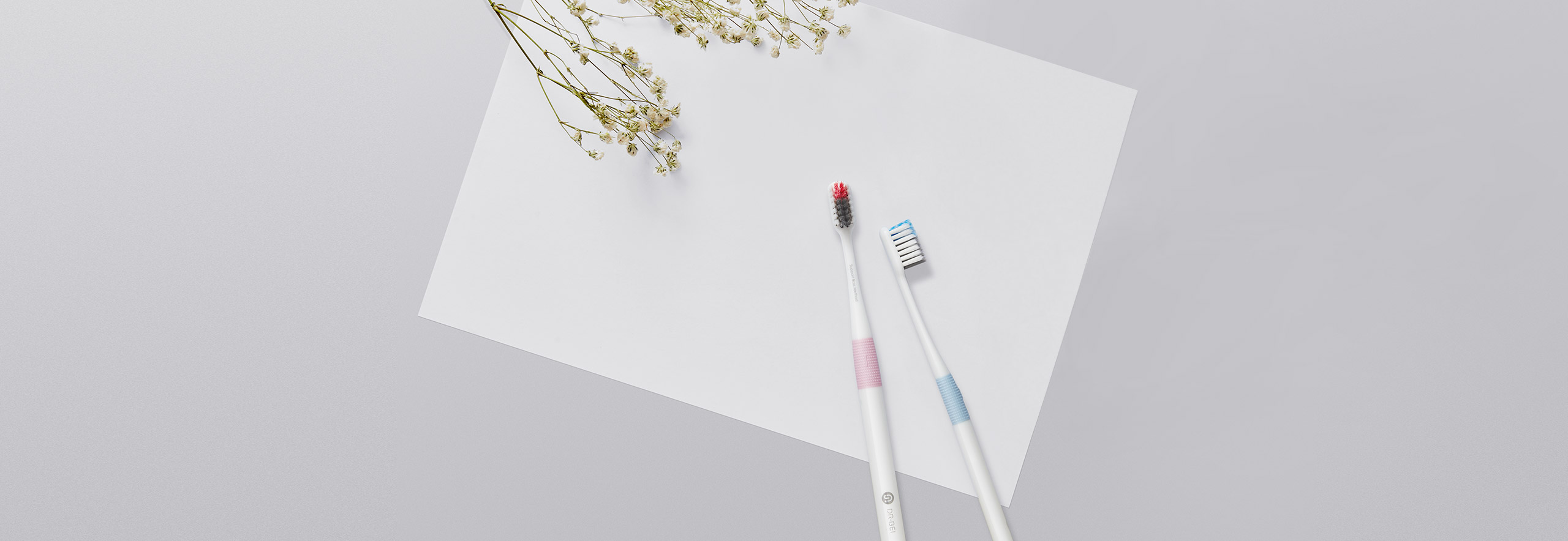 Mi Dr. Bei Toothbrush Set Mi Dr. Bei Toothbrush Set