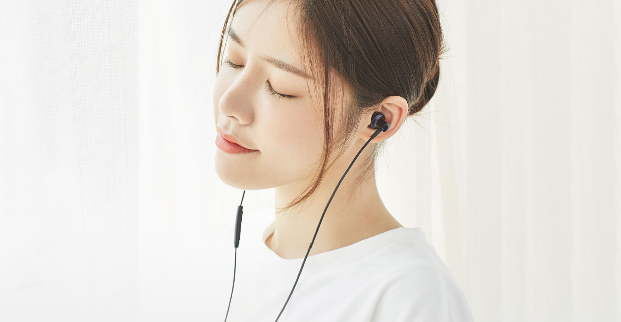 Mi In-Ear Hybrid Iron Headphones 2 Mi In-Ear Hybrid Iron Headphones 2