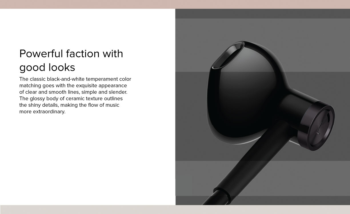 Mi Dual Driver Earphones Type-C Version Mi Dual Driver Earphones Type-C Version
