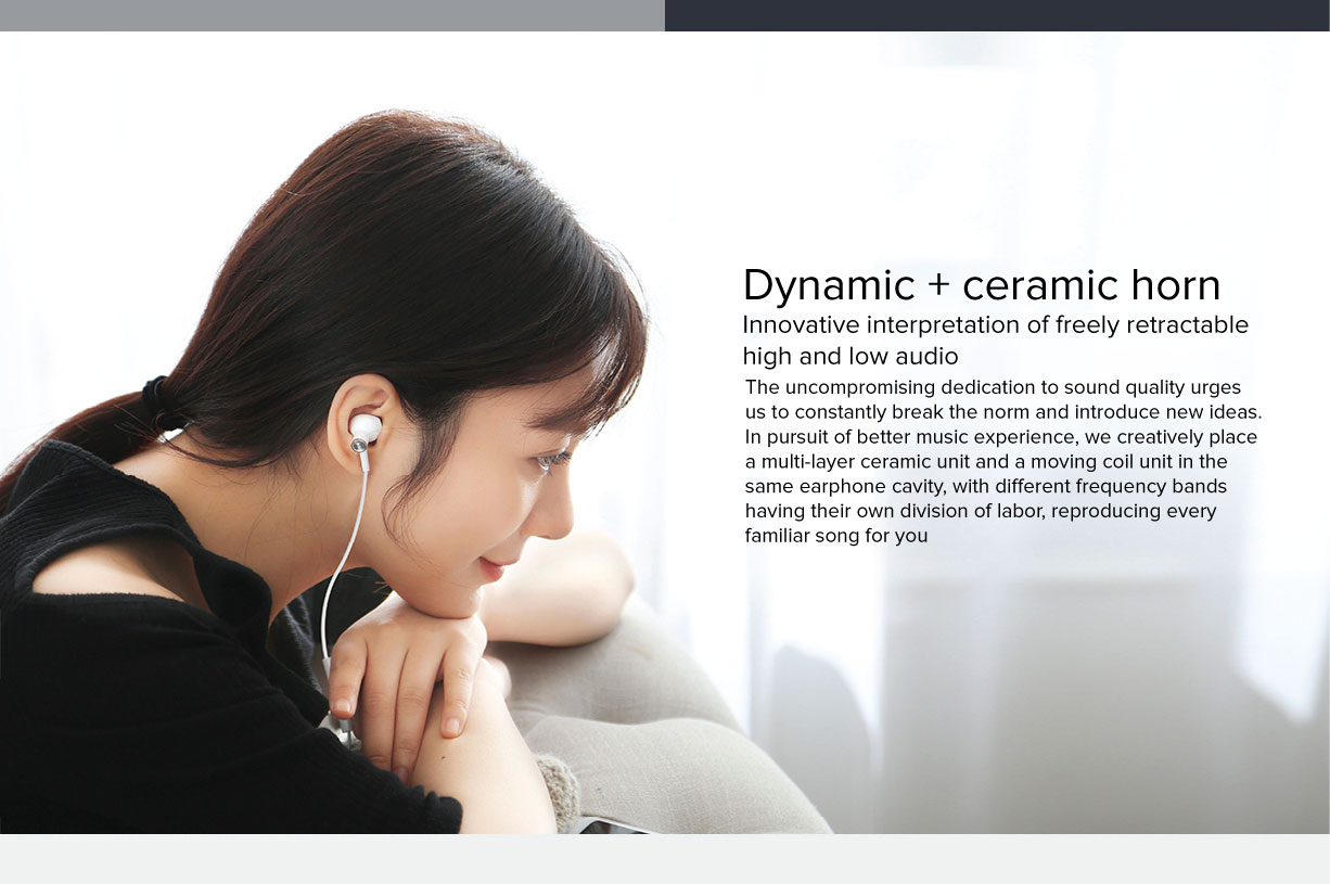 Mi Dual Driver Earphones Type-C Version Mi Dual Driver Earphones Type-C Version