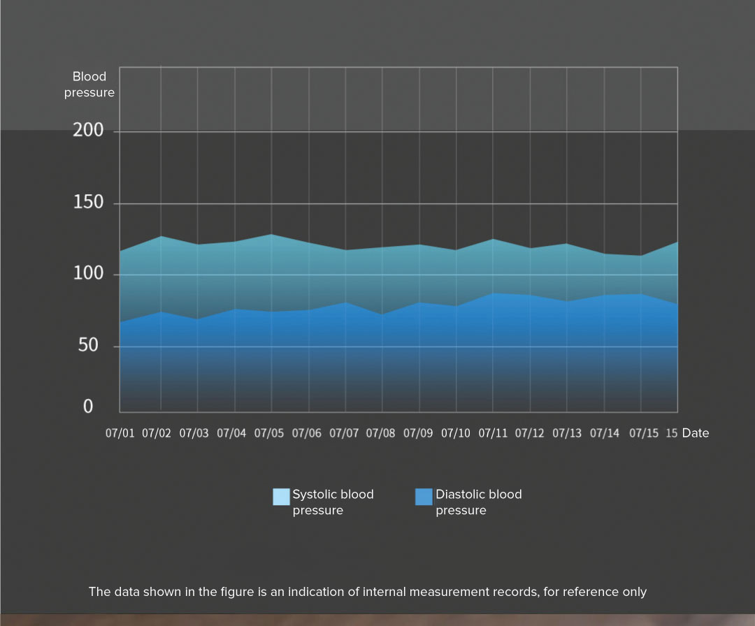 Andon Electronic Blood Pressure Monitor Andon Electronic Blood Pressure Monitor