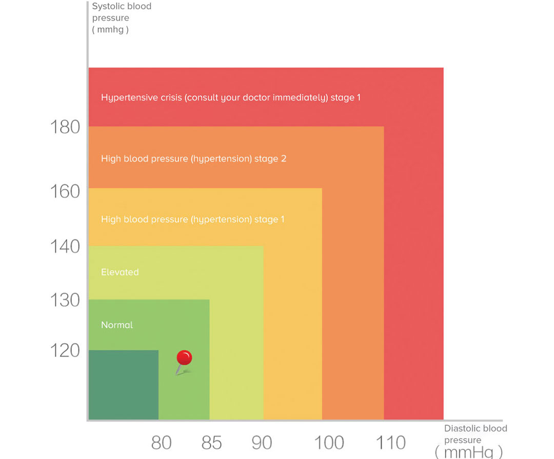 Andon Electronic Blood Pressure Monitor Andon Electronic Blood Pressure Monitor