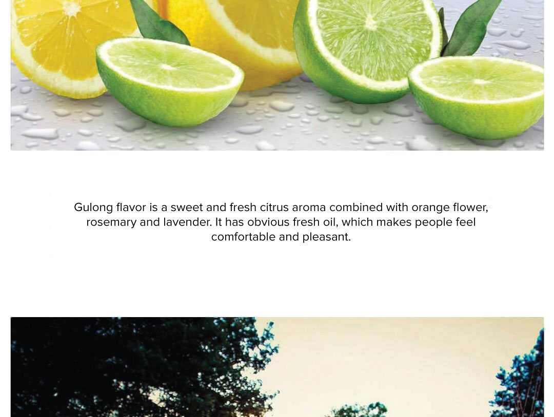 Air Force Car Air Outlet Aromatherapy Air Force Car Air Outlet Aromatherapy